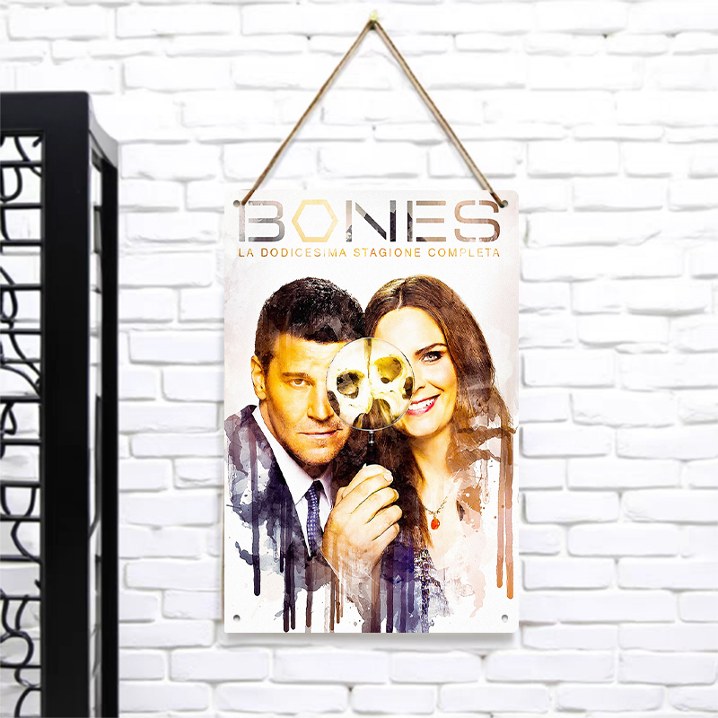 Bones Staffel 12, Poster, Meta – Vintage Collectible Posters Bewertung und Preis